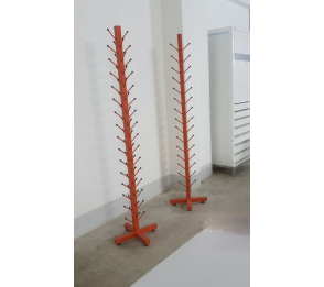 Cây Thông Để Chỉ 